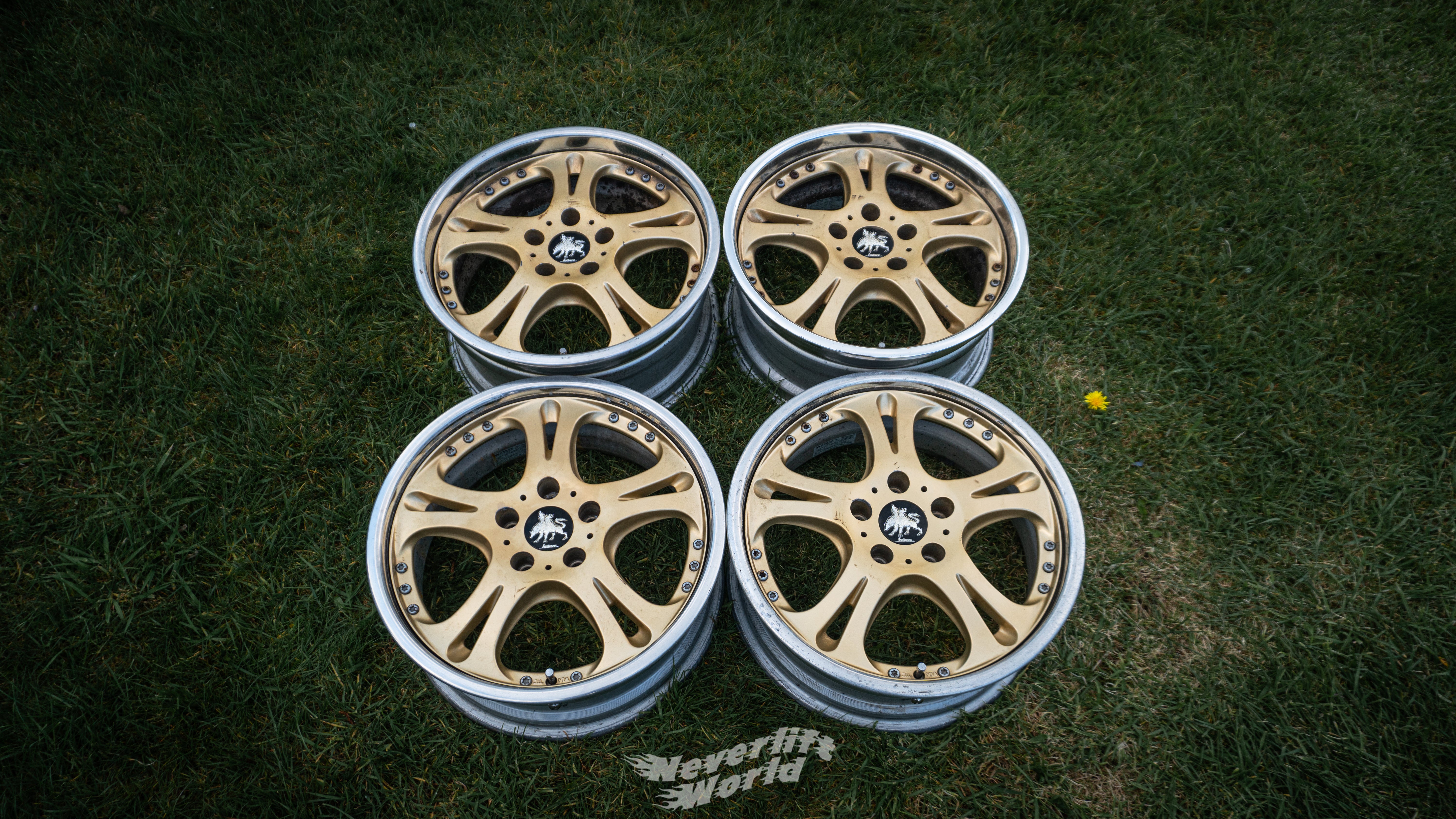 WEDS KRANZE CERBERUS ONE - GOLD – Neverlift World